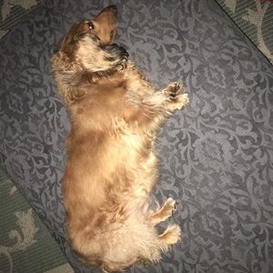 Meet your Posher, Melissa